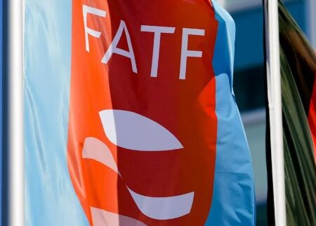 South Africa Hails Removal from FATF Grey List as Confidence in Economy Rises